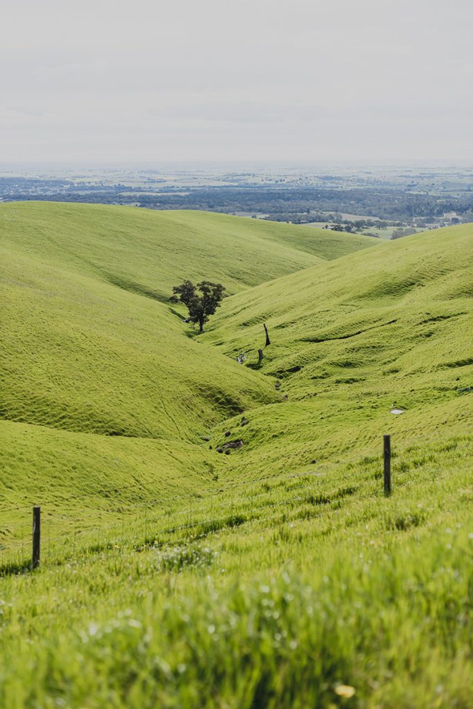 Visit Barossa - Shoot by Chevaune Hindley Sunshine Coast Photographer